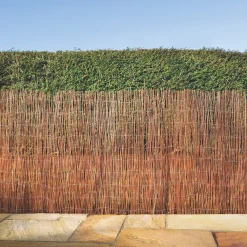 Apollo® Apollo Fern Roll-Up Screen 4 X 2m