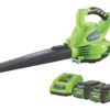 Greenworks GWGD40BVK2X 40V 2 X 2.0Ah Li-Ion Brushless Cordless Blower Vac -Forest Garden Shop 272KT P