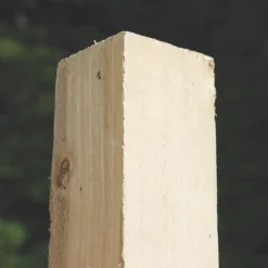 Forest Rough-Sawn Fence Posts 75 X 75mm X 2.4m 5 Pack