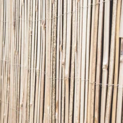 Apollo® Apollo Bamboo Half Bamboo Garden Screen 4 X 1m -Forest Garden Shop 5496K A2