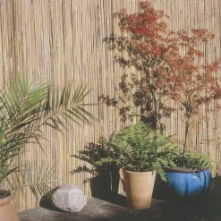Apollo® Apollo Bamboo Half Bamboo Garden Screen 4 X 1m