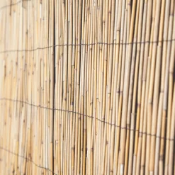 Apollo® Apollo Reed Garden Screen 4 X 2m -Forest Garden Shop 5565K A4