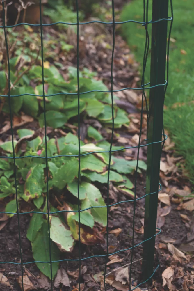 Apollo® Apollo Angled Metal Fencing Posts 25 X 25mm X 1.2m 2 Pack 4 Apollo® Apollo Angled Metal Fencing Posts 25 X 25mm X 1.2m 2 Pack - Image 2