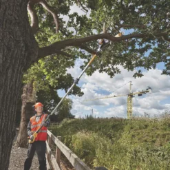 DeWalt DCMPS567P1 18V 1 X 5.0Ah Li-Ion XR Brushless Cordless 20cm Pole Saw -Forest Garden Shop 586JT A6