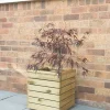 Forest Square Linear Planter Natural Wood 400 X 400 X 440mm -Forest Garden Shop 6206X P