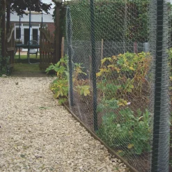 Apollo® Apollo 25mm Galvanised Wire Netting 0.6 X 10m -Forest Garden Shop 74993 A4