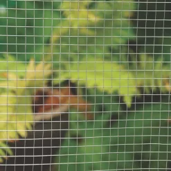 Apollo® Apollo 13 X 25mm Galvanised Welded Mesh 0.9 X 6m -Forest Garden Shop 76864 A3