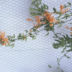 Apollo® Apollo 50mm Galvanised Wire Netting 0.6 X 50m -Forest Garden Shop 82450 A1