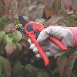 Spear And Jackson Spear & Jackson Anvil Razorsharp Active Secateurs 8 1/4" (210mm) -Forest Garden Shop 989KG A2