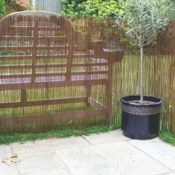 Apollo® Apollo Fern Roll-Up Screen 4 X 1m -Forest Garden Shop 992JG A2